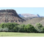 Southwest Desert Dryland Pasture Mix-3635