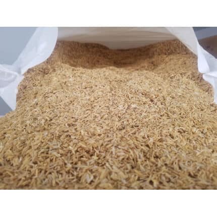 Rice Hulls-1032