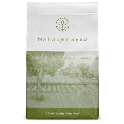 Desert Sage Scrub Mix-4933