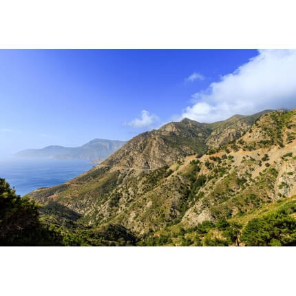 Santa Monica Mountain Cover Mix-4598